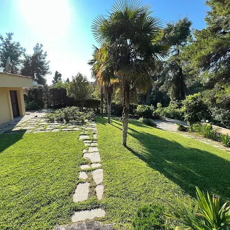 Aris Sani Sani (Chalkidiki)