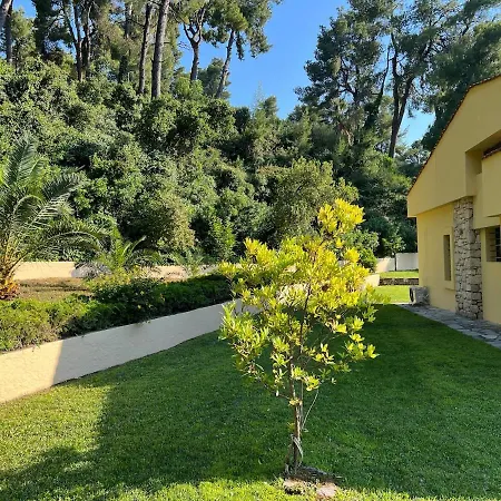 Villa Aris Sani *