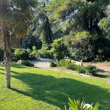 Aris Sani * Sani (Chalkidiki)